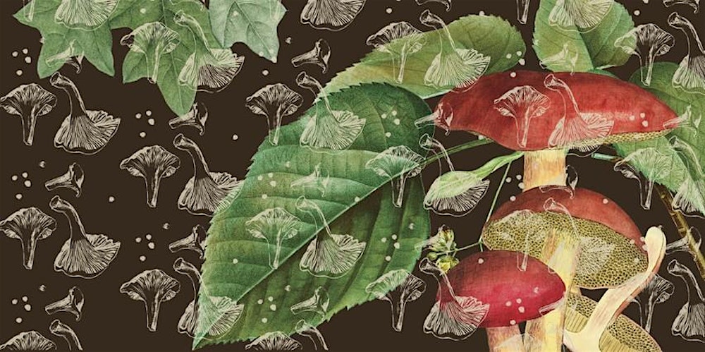 The Mushroom Gatherer [book launch]