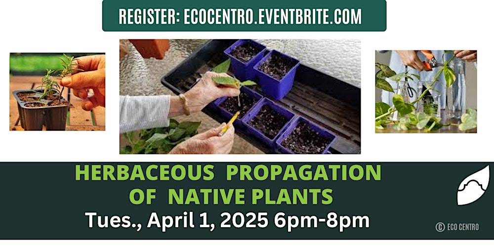 Vegetative Propagation of Native Plants