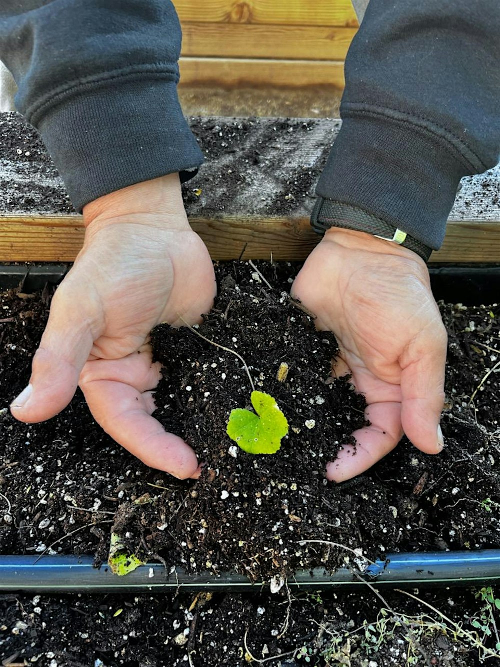 Seed Starting Workshop