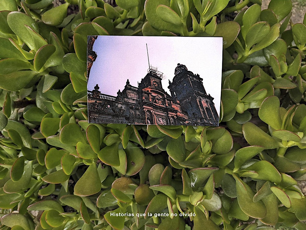 Image Readings: Sue Montoya