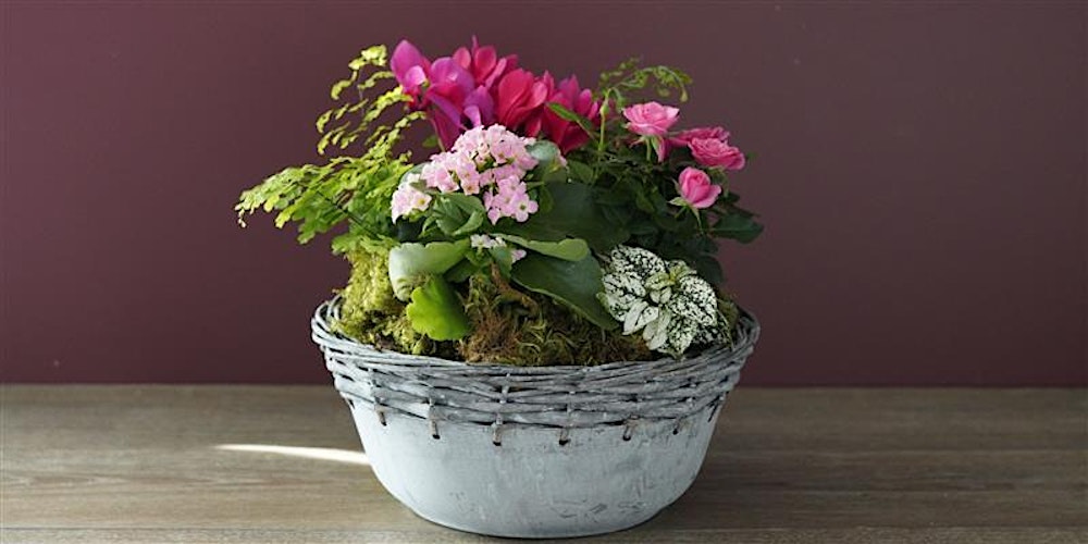 Make-n-Take : Plant Your Heart Out at Mahoney's Brighton