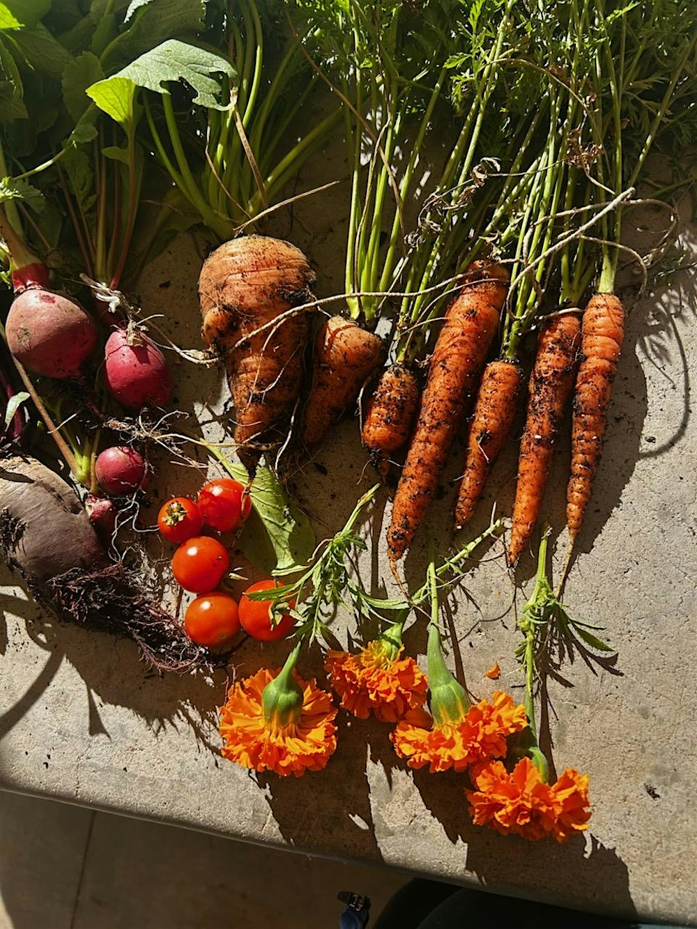 Permaculture Yard Design Workshop