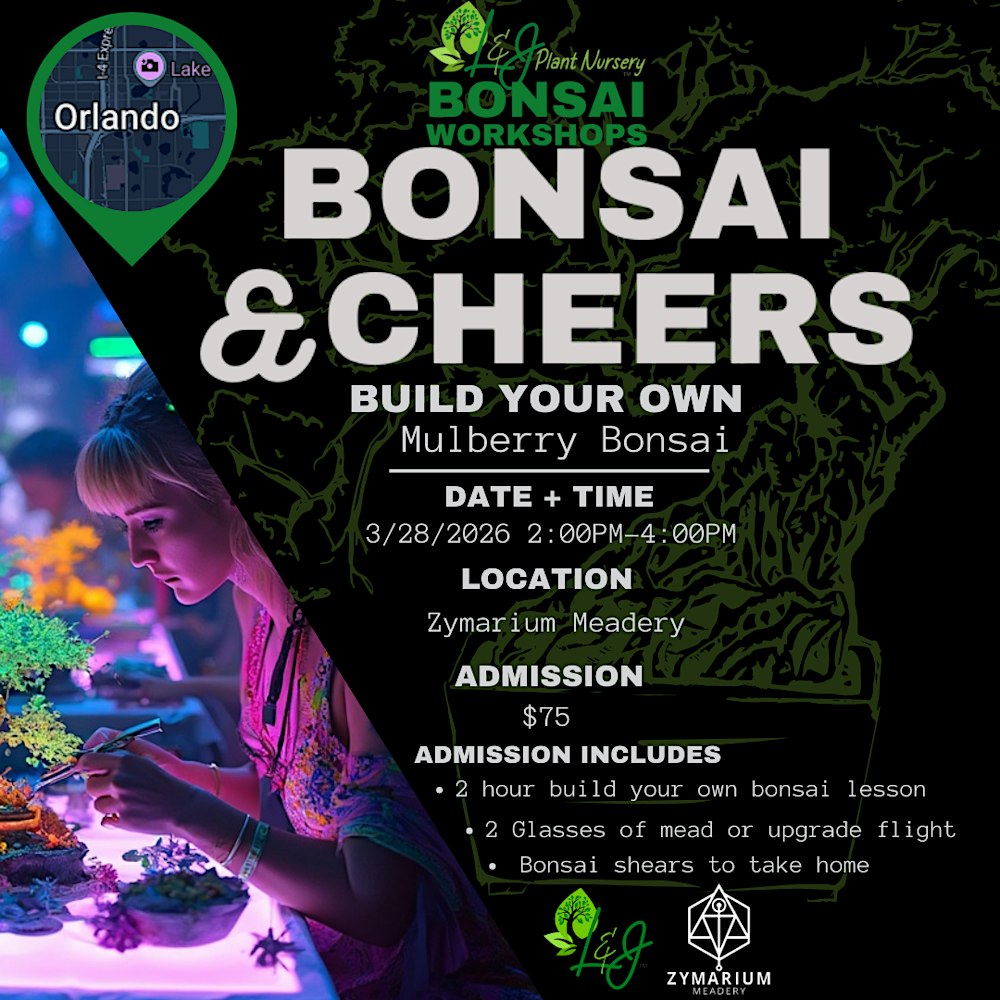 Bonsai & Cheers -Zymarium Meadery - L&J Nursery - Dwarf Mulberry