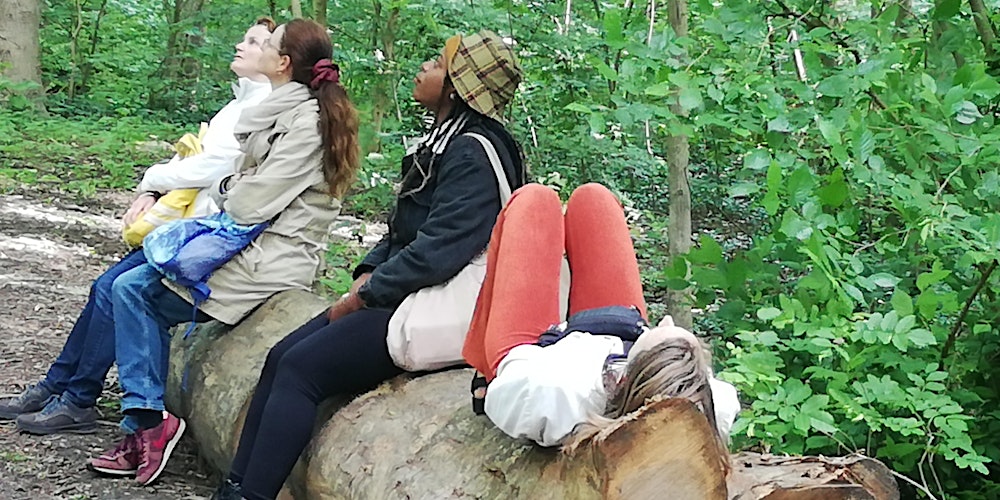 Forest Bathing Walk / Baño de bosque / Shinrin Yoku / Amstelpark-Amsterdam