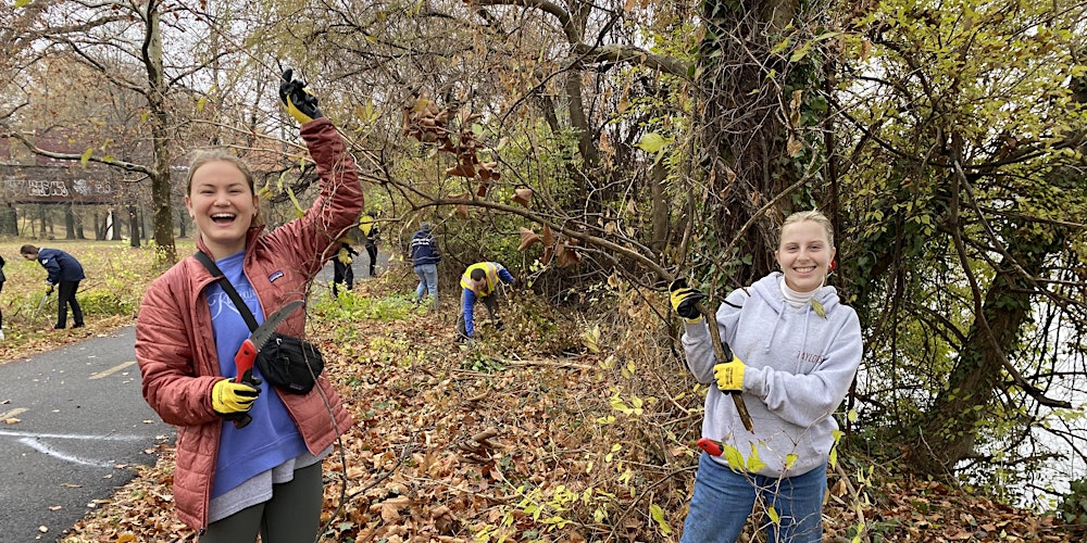Vegetation Trimming near Gravelly Point