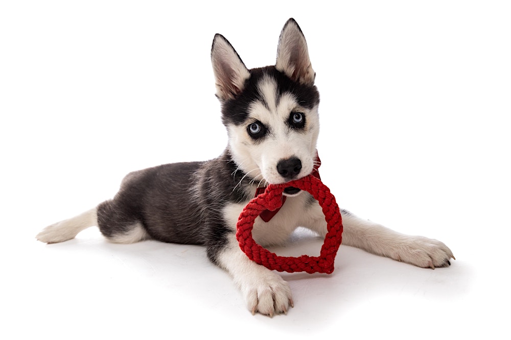 Valentine’s Day Family Workshop