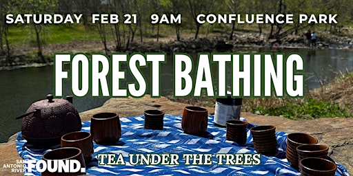 Nature Rx: Forest Bathing at Confluence Park