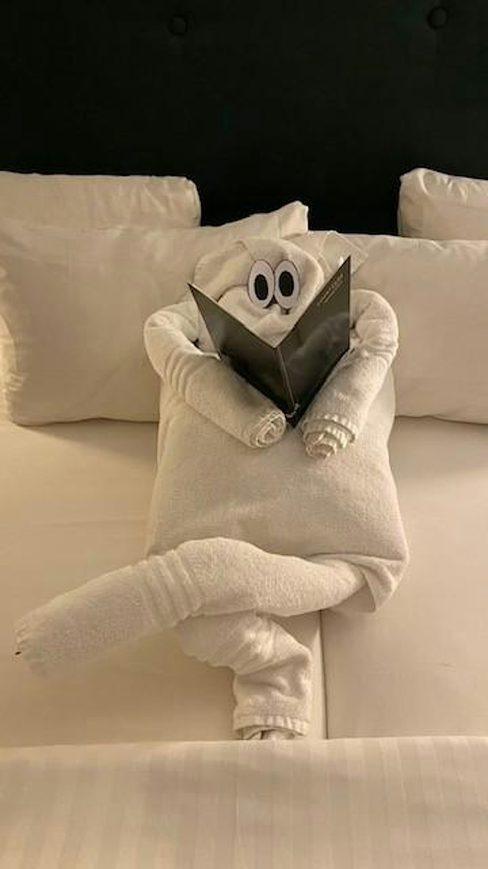 Frottee Zoo Schulung