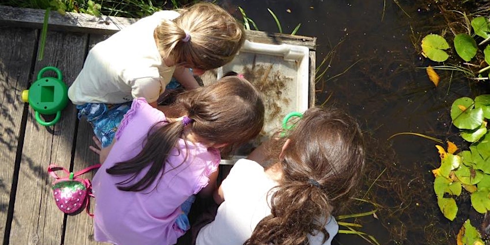 Pond Dipping at Kingsbury Waterpark