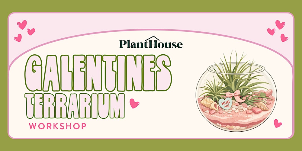 Galentines Terrarium Workshop