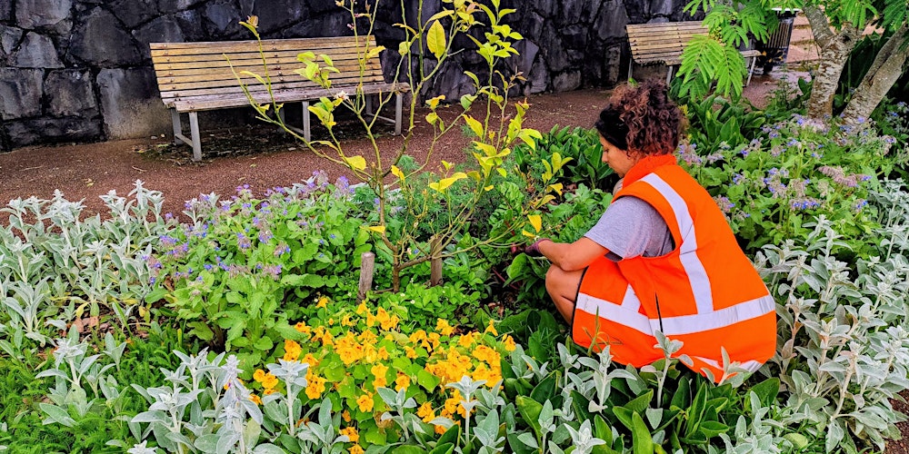 Guided Walk: Food forest