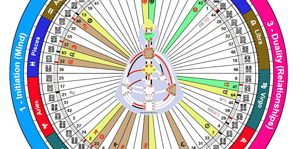 Discover Your  Unique Human Design Digestion Type