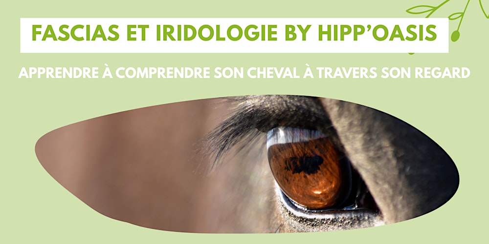 Fascias et Iridologie by Hipp'Oasis