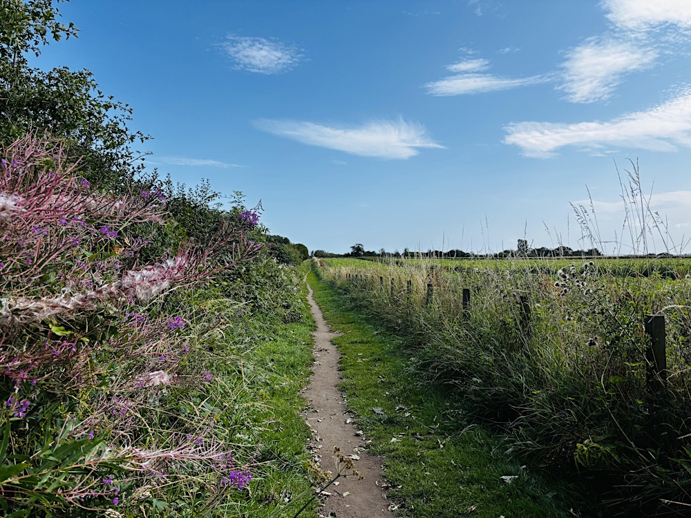 Tour: Newhailes Estate