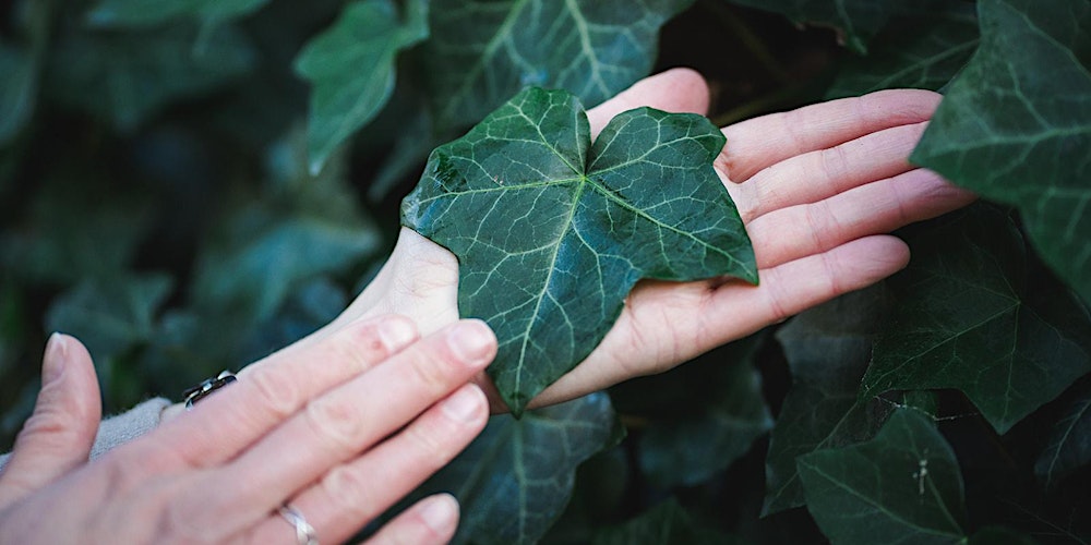 Nature Connection Specialist 2-day CPD training in Edinburgh