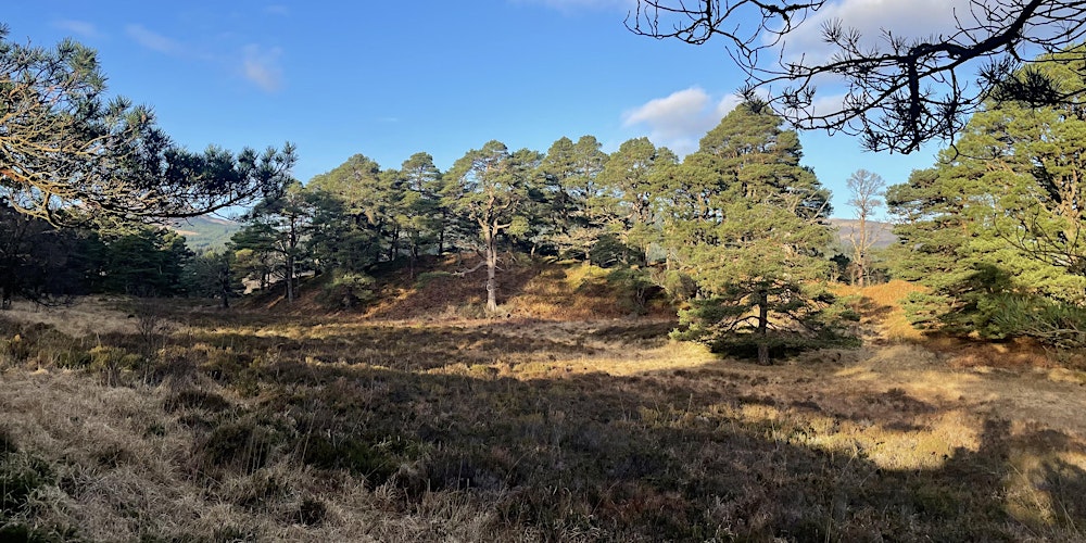 Upland Habitats Workshop