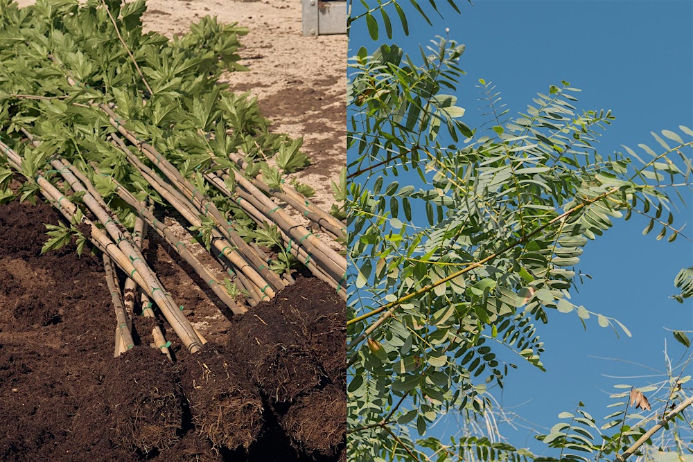 Acción directa: refugios climáticos