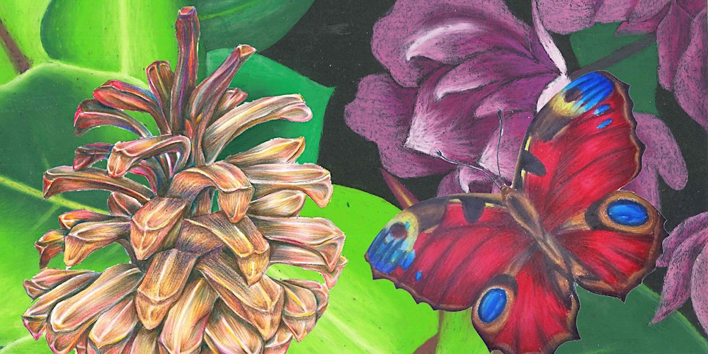 Working with coloured pencils and pastels - beginners