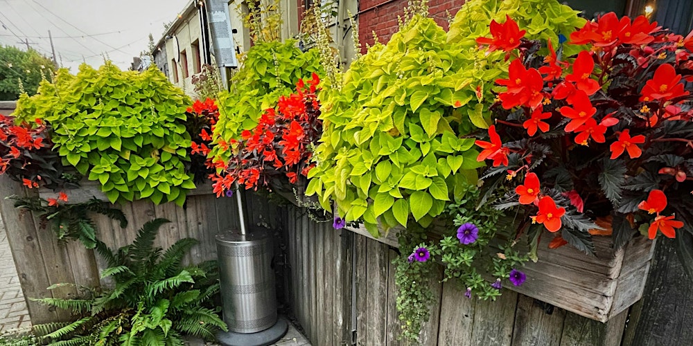 Container Gardening Workshop