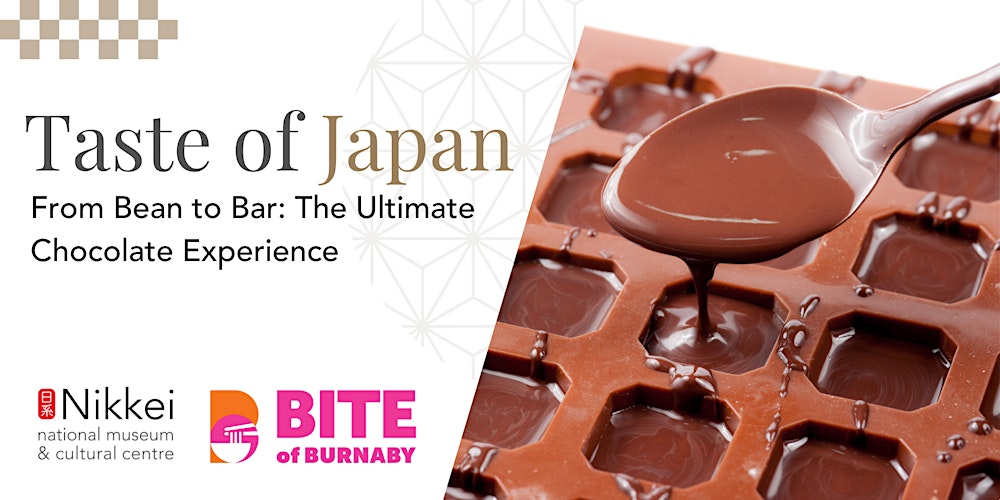 From Bean to Bar: The Ultimate Chocolate Experience