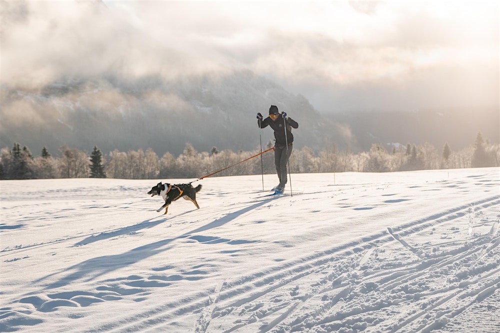 Get into skijoring