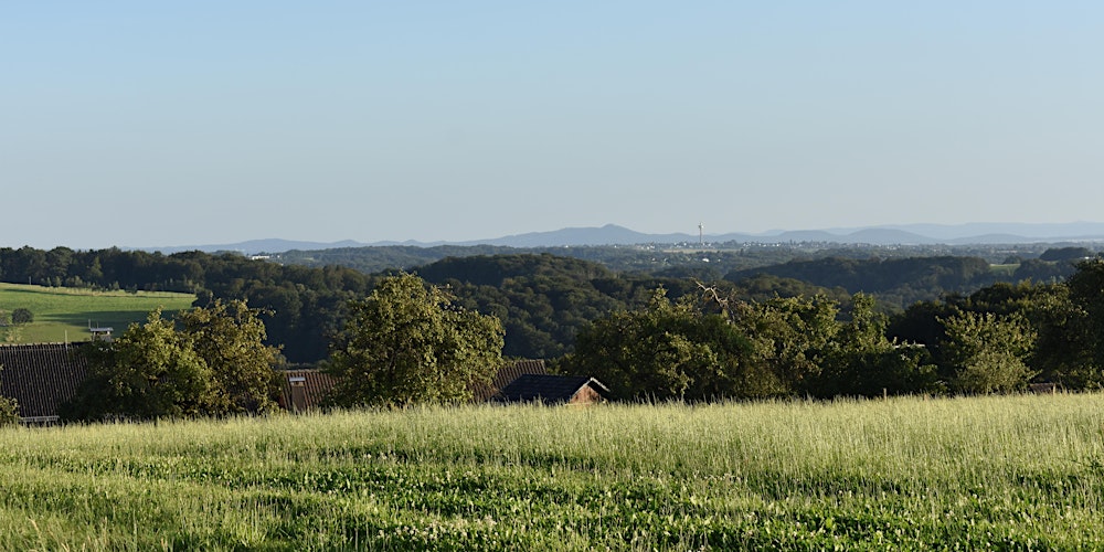Sa,21.03.26 Wanderdate Wildromantisches Naafbachtal für Singles von 30-49J