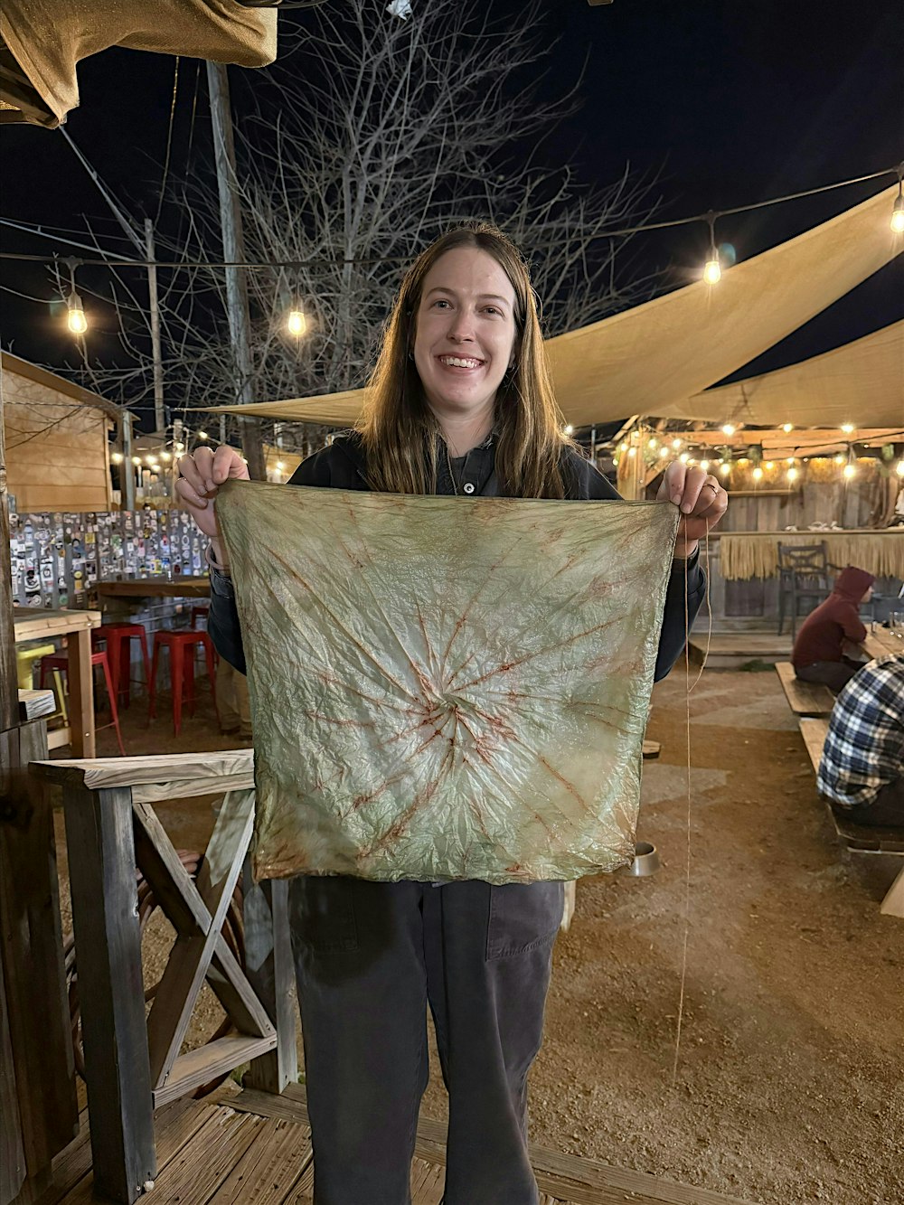 Eco-Printing and Dyes