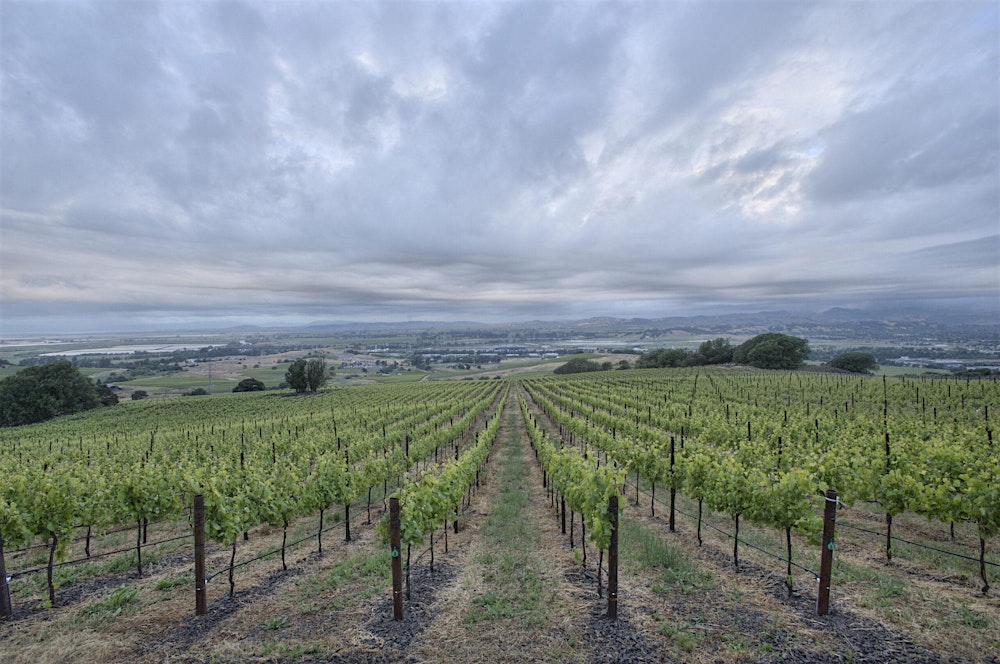 Chart House - Cakebread Cellars Wine Dinner - Jacksonville