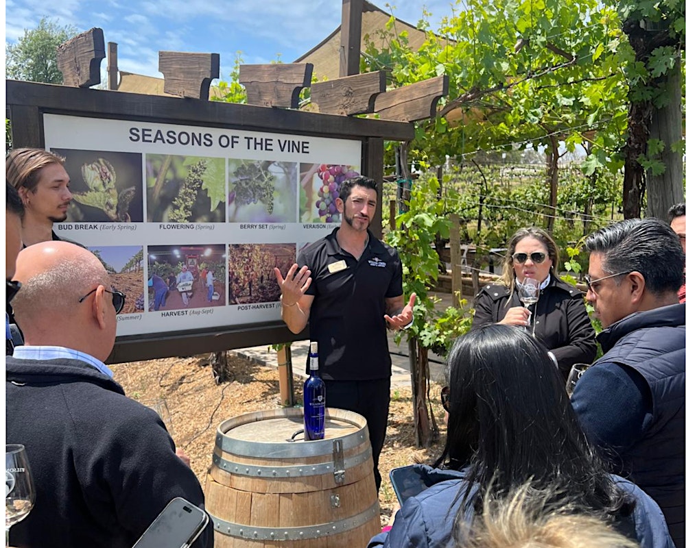Temecula Vineyard and Winery Private Tour