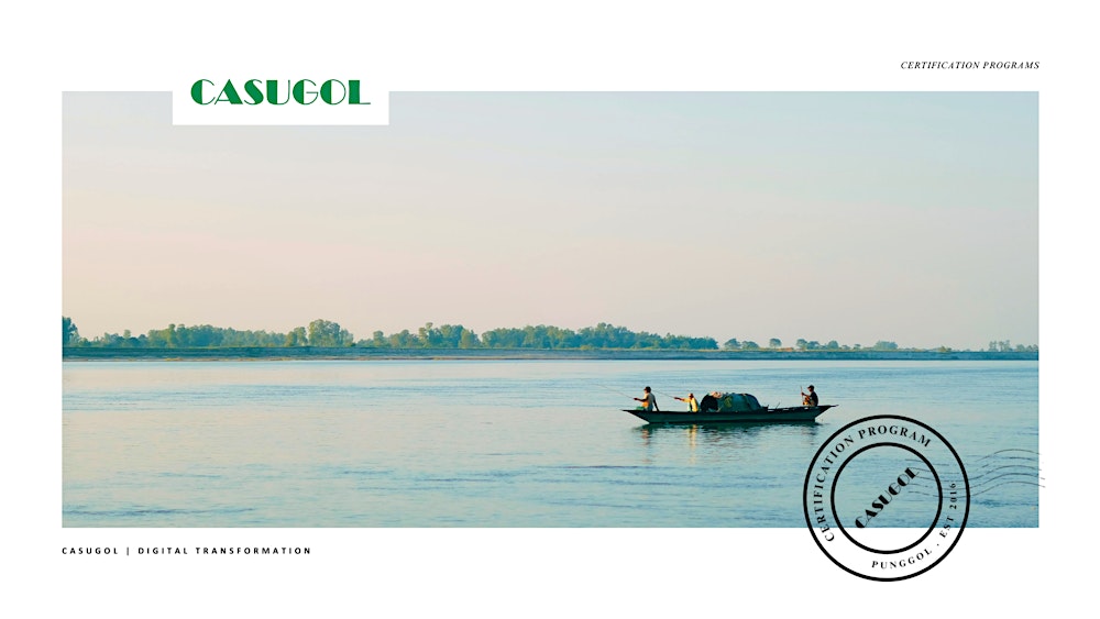 Certified Digital Transformation Professional -  AI Digital Transformation