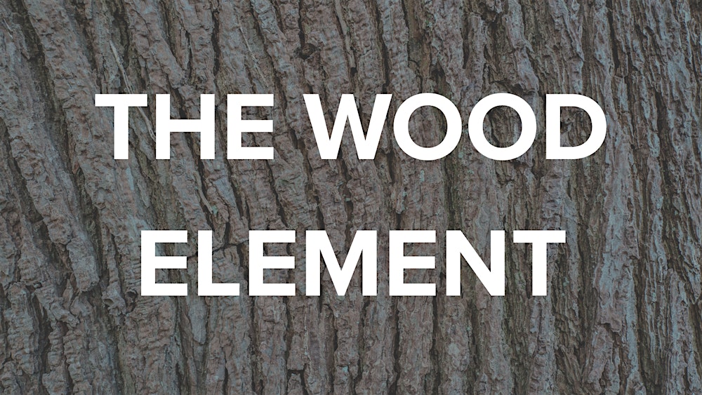 Wood Element Workshop