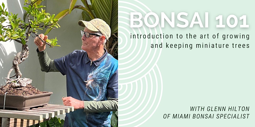 Bonsai 101 Series: Formal Upright Style