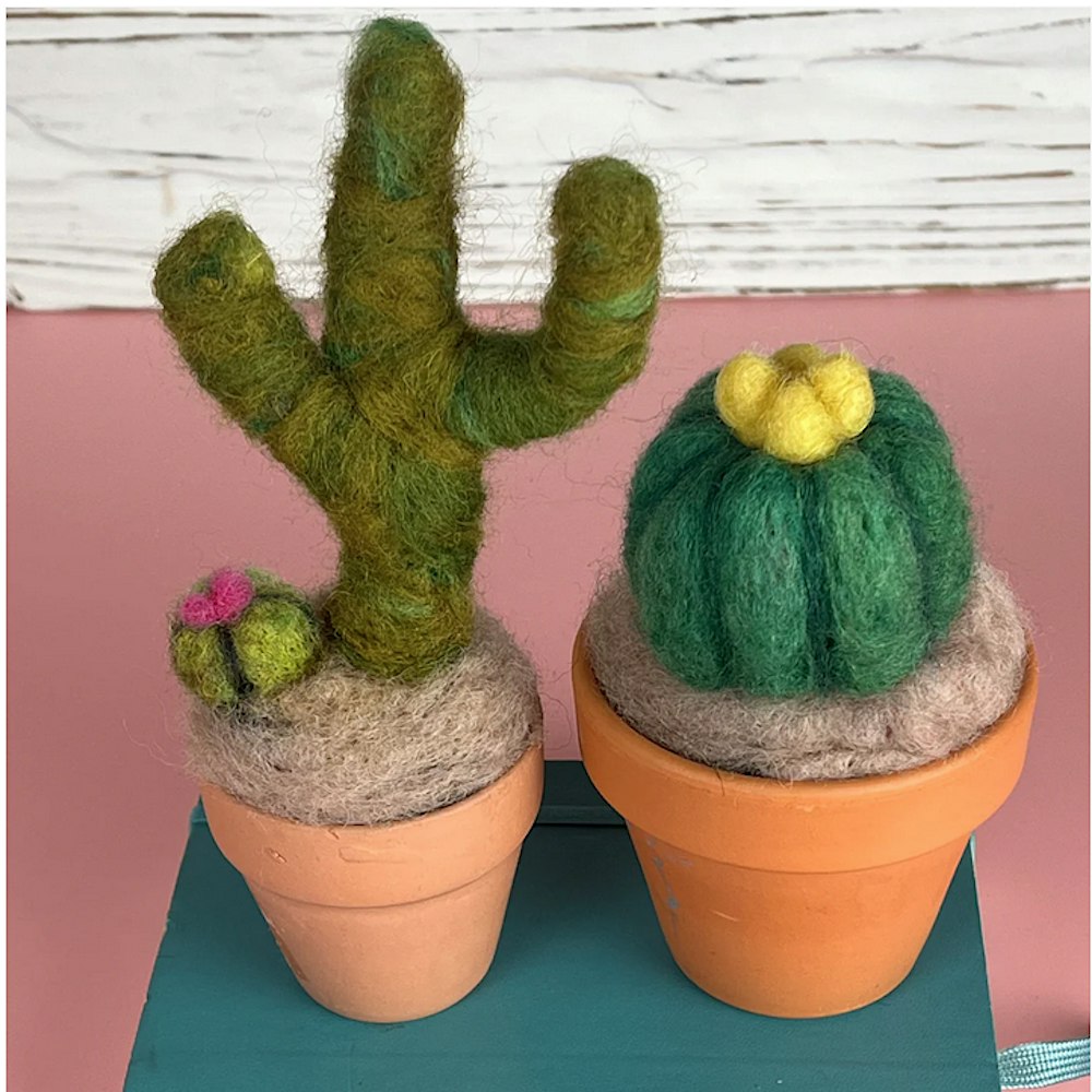 Needle Felting Class: Mini Cactus