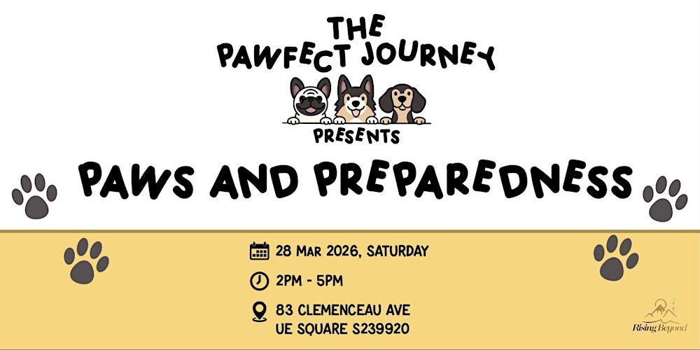 The Pawfect Journey: Paws & Prepardness