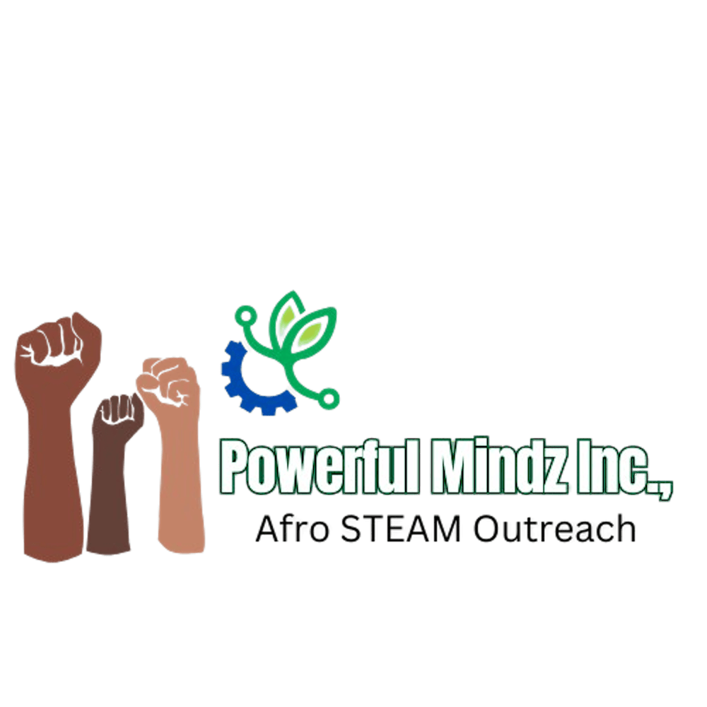 Afro STEAM Fair: Youth-Centered Science, Technology, Engineering and Arts