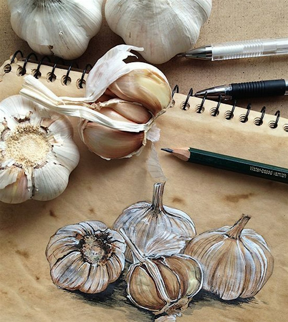 Drawing and Pen Sketching Nature