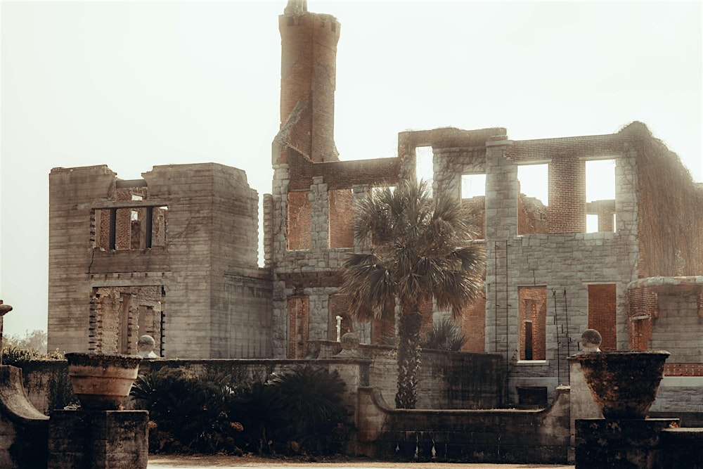 Capture the wild magic of Cumberland Island National Seashore!