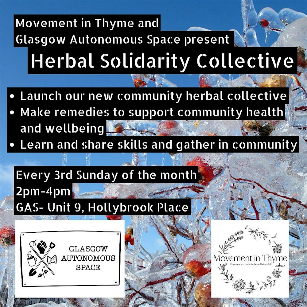 Herbal Solidarity Collective – Monthly Community Herbalism Gatherings ✊️