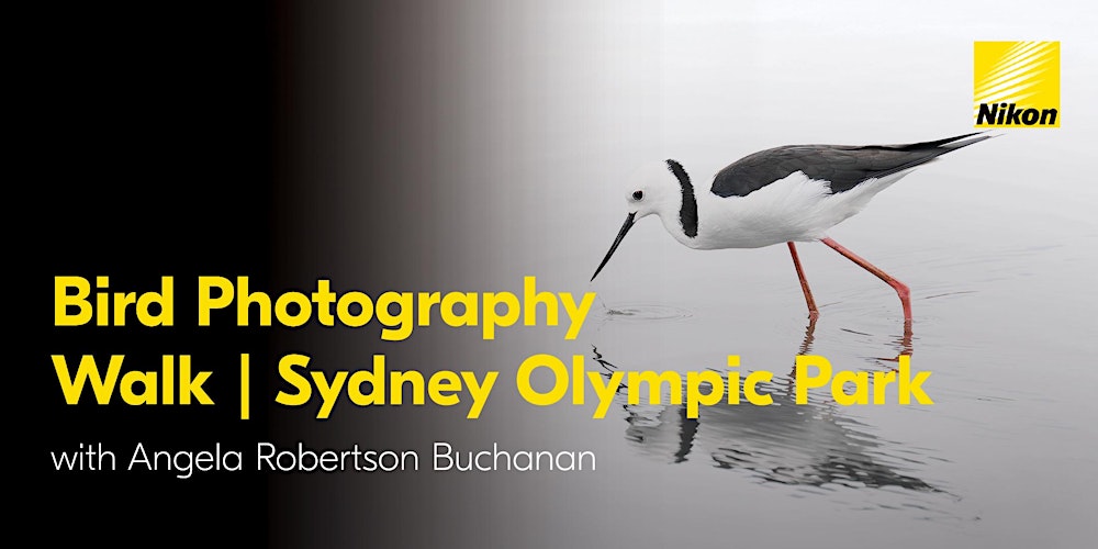 Bird Photography Walk | Sydney Olympic Park with Angela Robertson Buchanan