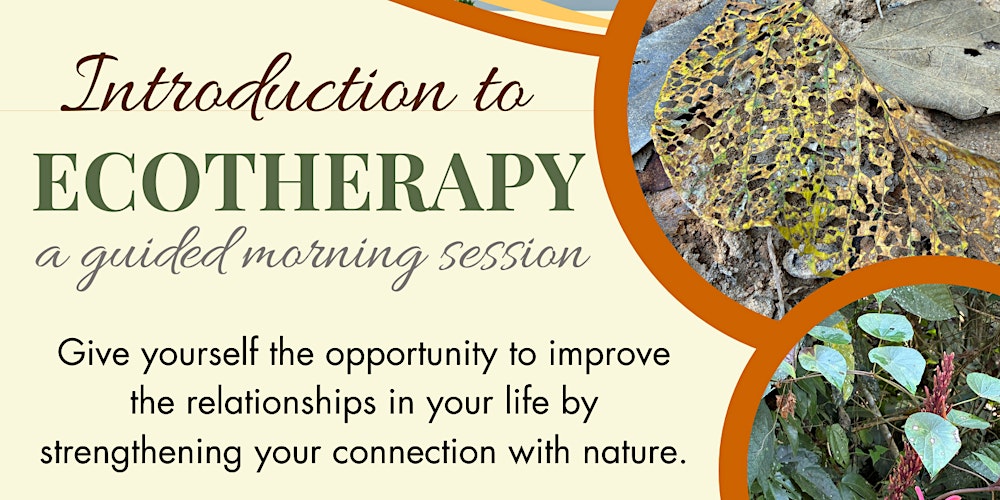 Introduction to ECOTHERAPY