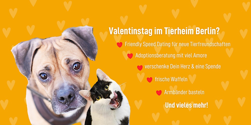 Friends & Flauschig - Speeddating für Tierfreund*innen