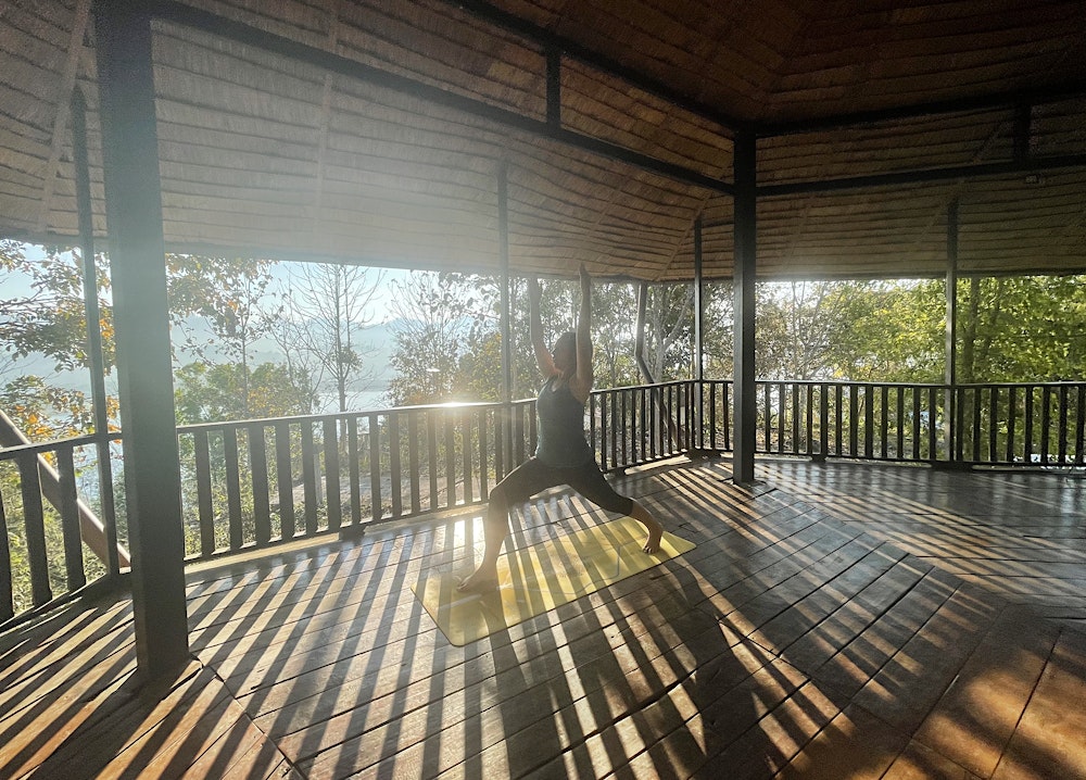 Yoga Medicine (Early Summer Series)