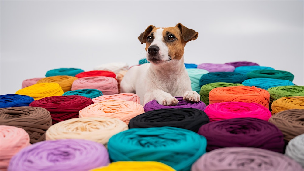 Crochet for Pets Beginner Workshop