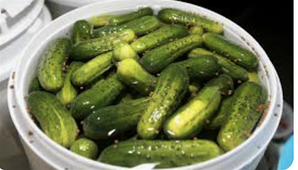 The Hudson Valley Pickle Festival