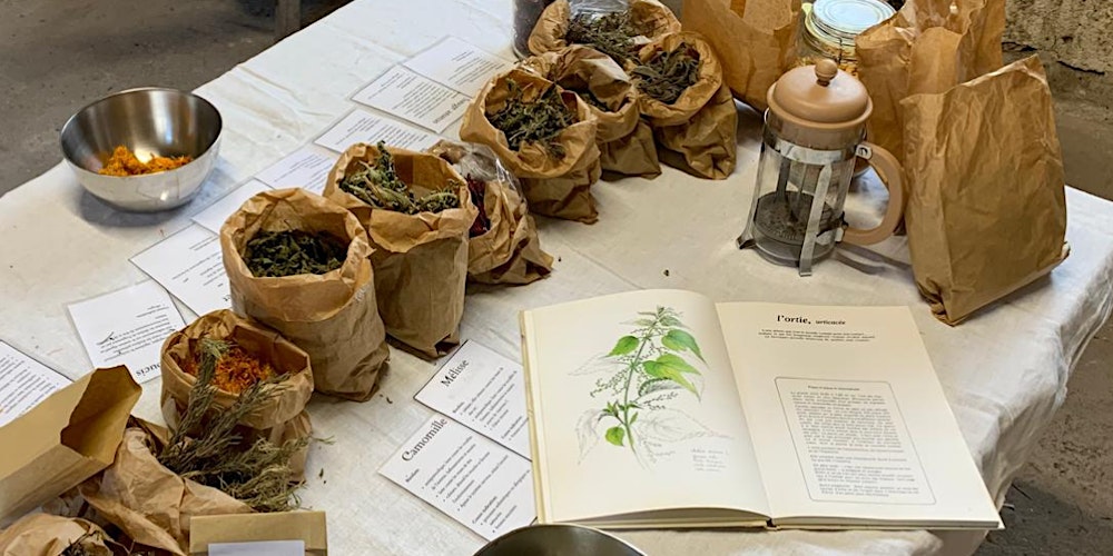 Atelier "Créer ta tisane du jardin"