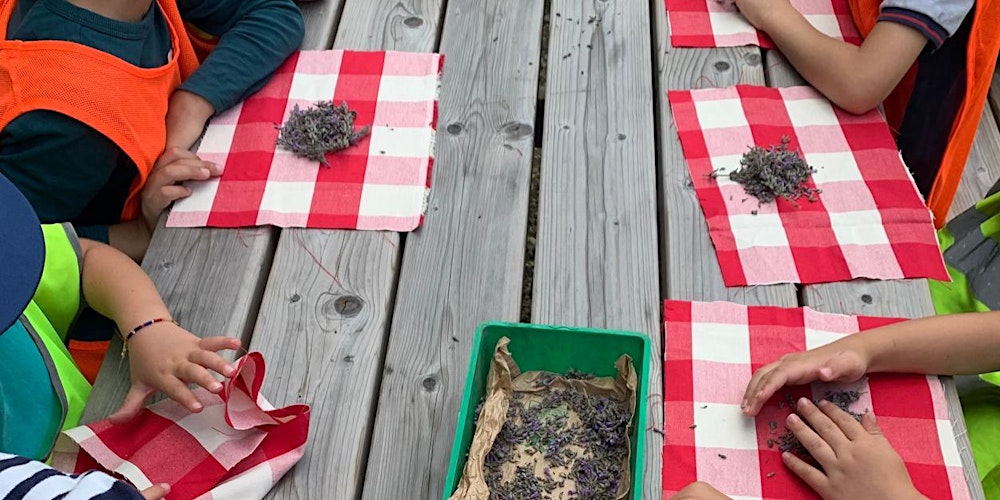 Atelier enfant "Bombes à graines & semis"