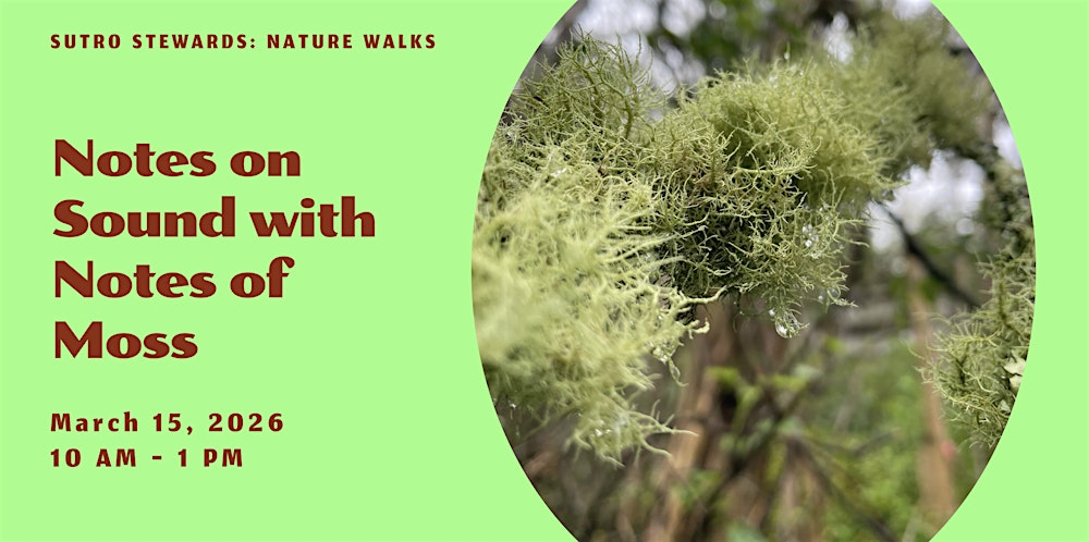 Notes on Sound with Notes of Moss