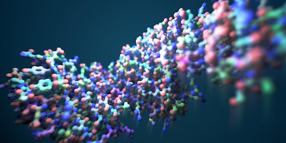 Evolutionary Innovation, Chance and Necessity: Science and  Theology