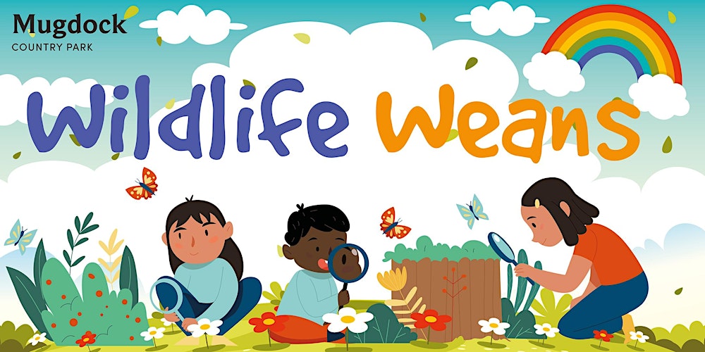 Wildlife Weans - The Big Egg Hunt!