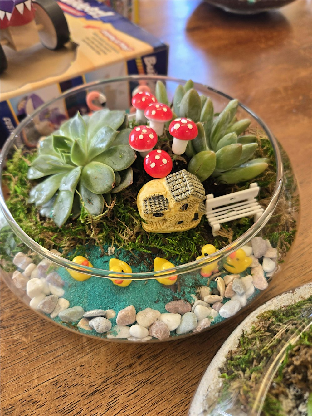 Rooted & Relaxed: A Terrarium Workshop
